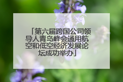 第六届跨国公司领导人青岛峰会通用航空和低空经济发展论坛成功举办
