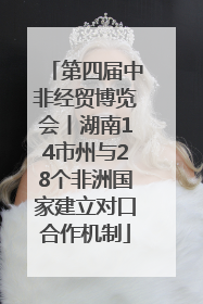 第四届中非经贸博览会丨湖南14市州与28个非洲国家建立对口合作机制