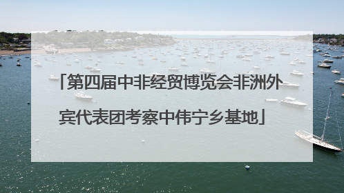 第四届中非经贸博览会非洲外宾代表团考察中伟宁乡基地