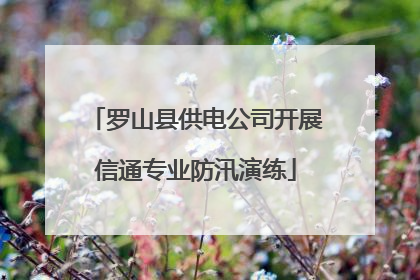 罗山县供电公司开展信通专业防汛演练