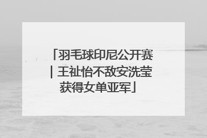 羽毛球印尼公开赛｜王祉怡不敌安洗莹 获得女单亚军