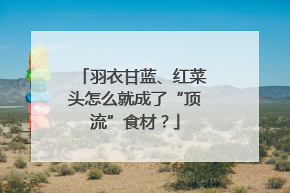 羽衣甘蓝、红菜头怎么就成了“顶流”食材？