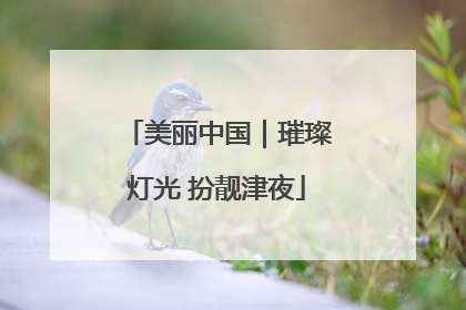 美丽中国｜璀璨灯光 扮靓津夜