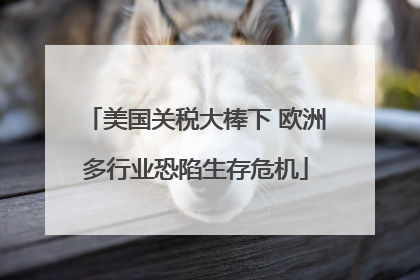 美国关税大棒下 欧洲多行业恐陷生存危机