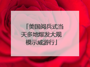 美国阅兵式当天多地爆发大规模示威游行
