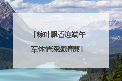 粽叶飘香迎端午 军休情深颂清廉