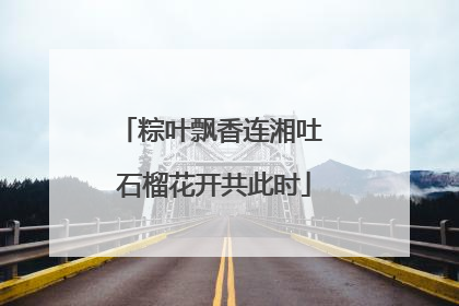 粽叶飘香连湘吐 石榴花开共此时