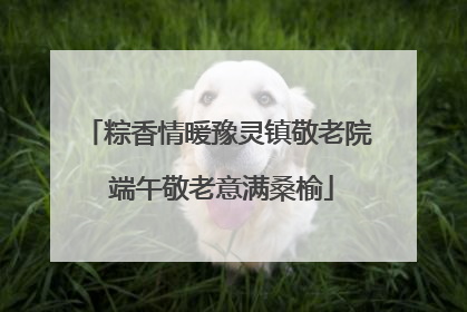 粽香情暖豫灵镇敬老院 端午敬老意满桑榆