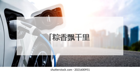 粽香飘千里 国门守平安