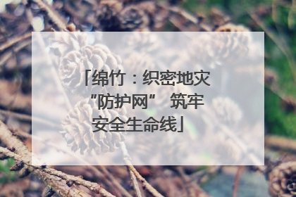 绵竹：织密地灾“防护网” 筑牢安全生命线