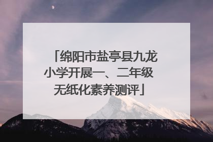 绵阳市盐亭县九龙小学开展一、二年级无纸化素养测评