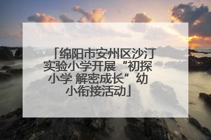 绵阳市安州区沙汀实验小学开展“初探小学 解密成长”幼小衔接活动