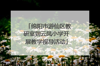 绵阳市游仙区教研室到云凤小学开展教学视导活动