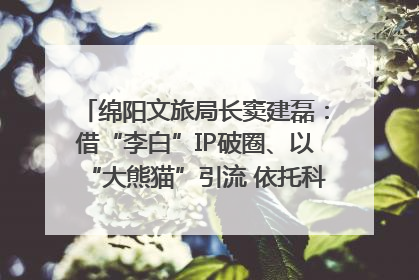 绵阳文旅局长窦建磊：借“李白”IP破圈、以“大熊猫”引流 依托科技优势绽放城市文旅魅力｜文旅局长说