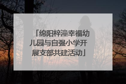 绵阳梓潼幸福幼儿园与自强小学开展支部共建活动