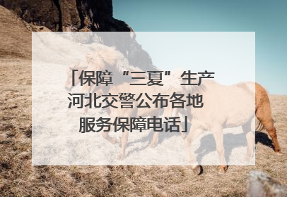 保障“三夏”生产 河北交警公布各地服务保障电话