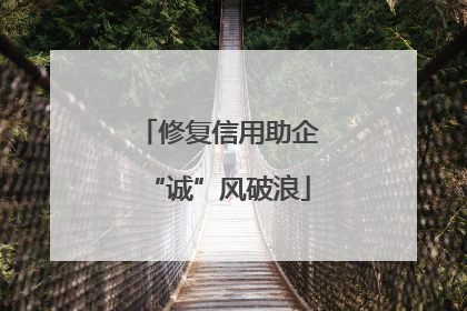 修复信用助企“诚”风破浪