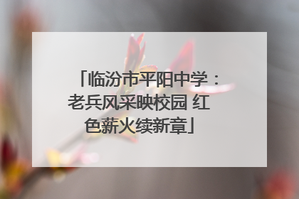 临汾市平阳中学：老兵风采映校园 红色薪火续新章