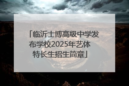 临沂士博高级中学发布学校2025年艺体特长生招生简章