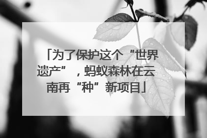 为了保护这个“世界遗产”，蚂蚁森林在云南再“种”新项目