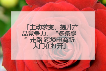 主动求变、提升产品竞争力、“多条腿”走路 跨境电商新大门在打开