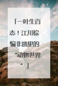 一叶生百态！江川棕编非遗里的“动物世界”