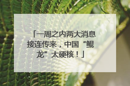 一周之内两大消息接连传来，中国“鲲龙”太硬核！