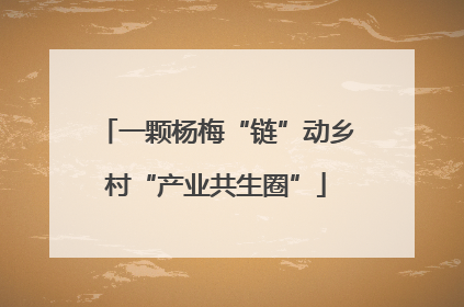 一颗杨梅“链”动乡村“产业共生圈”