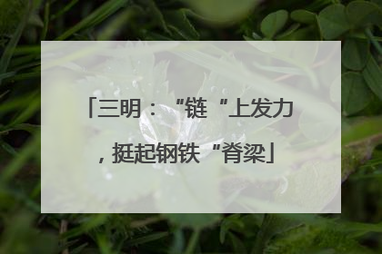 三明：“链“上发力，挺起钢铁“脊梁