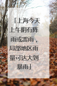 上海今天上午阴有阵雨或雷雨，局部地区雨量可达大到暴雨