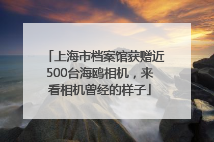 上海市档案馆获赠近500台海鸥相机，来看相机曾经的样子