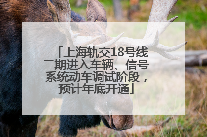 上海轨交18号线二期进入车辆、信号系统动车调试阶段，预计年底开通