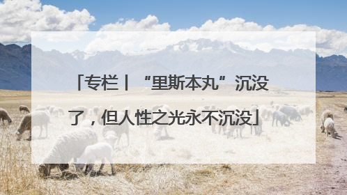 专栏丨“里斯本丸”沉没了，但人性之光永不沉没