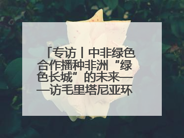 专访丨中非绿色合作播种非洲“绿色长城”的未来——访毛里塔尼亚环境部长拉格达夫