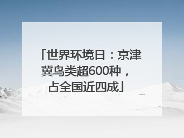 世界环境日：京津冀鸟类超600种，占全国近四成