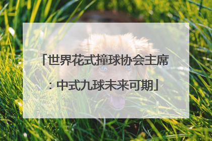 世界花式撞球协会主席：中式九球未来可期