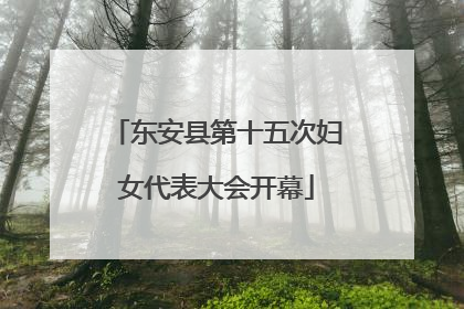 东安县第十五次妇女代表大会开幕