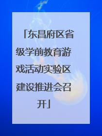 东昌府区省级学前教育游戏活动实验区建设推进会召开