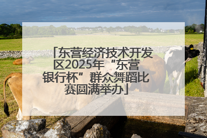 东营经济技术开发区2025年“东营银行杯”群众舞蹈比赛圆满举办