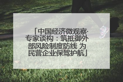 中国经济微观察·专家谈构：筑抵御外部风险制度防线 为民营企业保驾护航