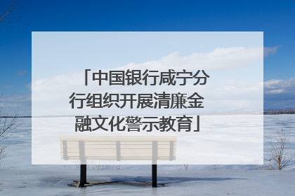 中国银行咸宁分行组织开展清廉金融文化警示教育