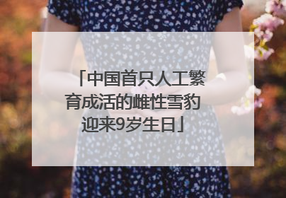 中国首只人工繁育成活的雌性雪豹迎来9岁生日