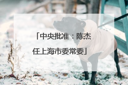 中央批准：陈杰任上海市委常委