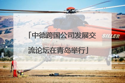 中德跨国公司发展交流论坛在青岛举行