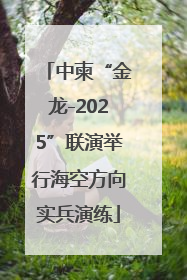 中柬“金龙-2025”联演举行海空方向实兵演练