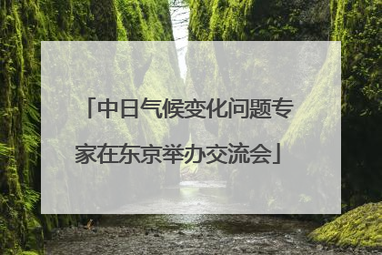 中日气候变化问题专家在东京举办交流会