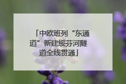 中欧班列“东通道”新建绥芬河隧道全线贯通