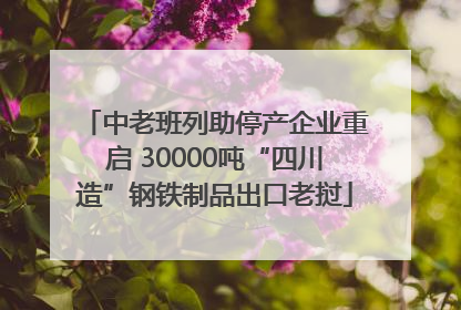 中老班列助停产企业重启 30000吨“四川造”钢铁制品出口老挝