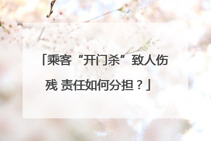 乘客“开门杀”致人伤残 责任如何分担？
