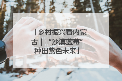 乡村振兴看内蒙古｜“沙漠蓝莓”种出紫色未来